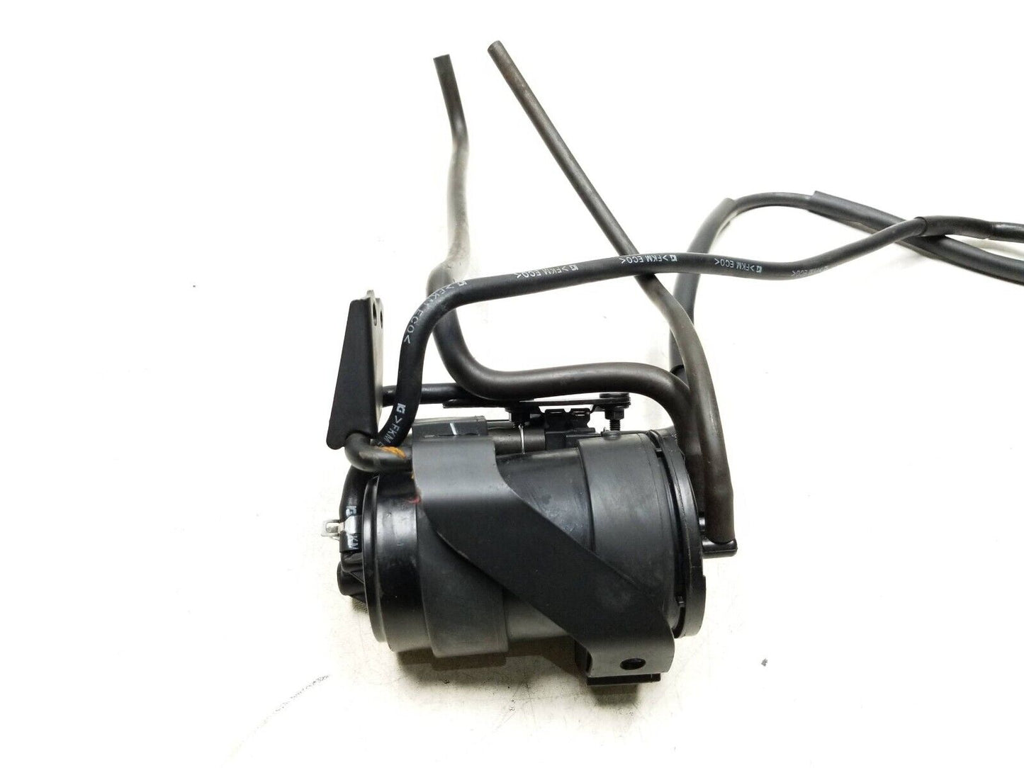 19 - 23 Honda Cbf300 Na Fuel Vapor Canister OEM