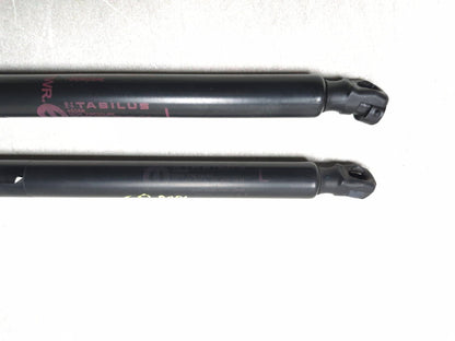 2013 Dodge Grand Caravan Liftgate Lift Shock Support Pair Oem✅