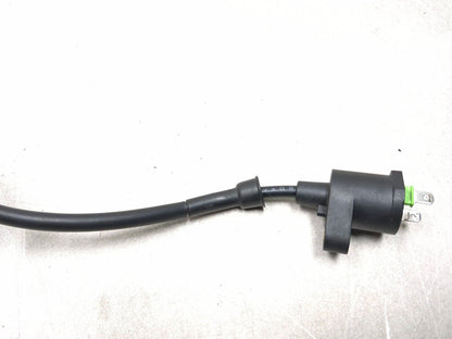 2025 Qiax Fy200t34/tank 200 Ignition Coil OEM