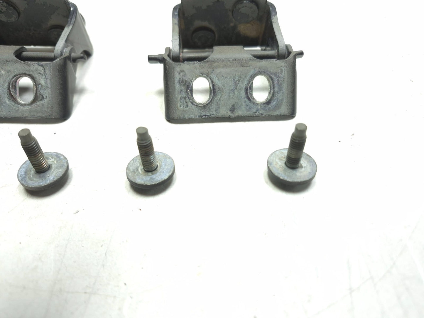 2013 Ford Focus St Trunk Lid Hatch Tailgate Hinge Pair Oem✅