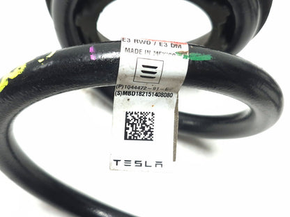 2018 Tesla Model 3 Rear Suspension Coil Spring Left & Right 1044472-91-e OEM