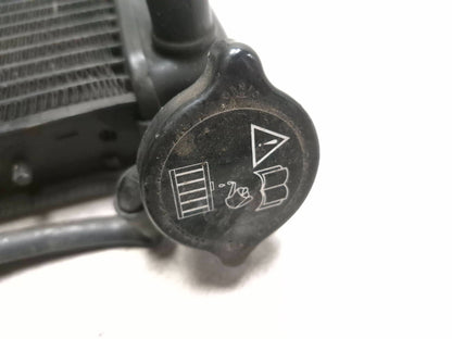 2005  Triumph Sprint St Radiator Cooling OEM