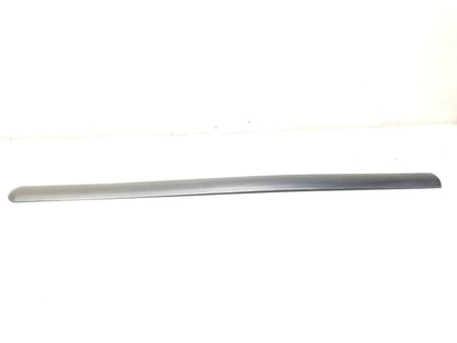 2012 Ford Transit Connect Door Molding 4pcs OEM