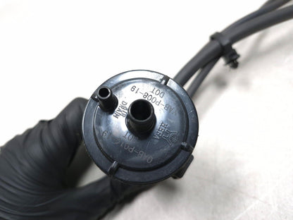 2025 Qiax Fy200t34/tank 200 Evap Charcoal Canister OEM