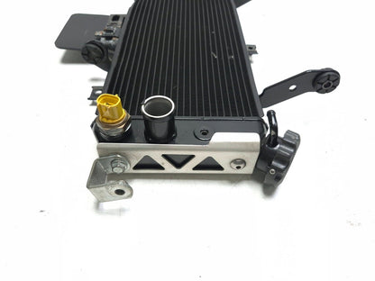 2009 Suzuki Sv650s Radiator 17710-17g40 OEM