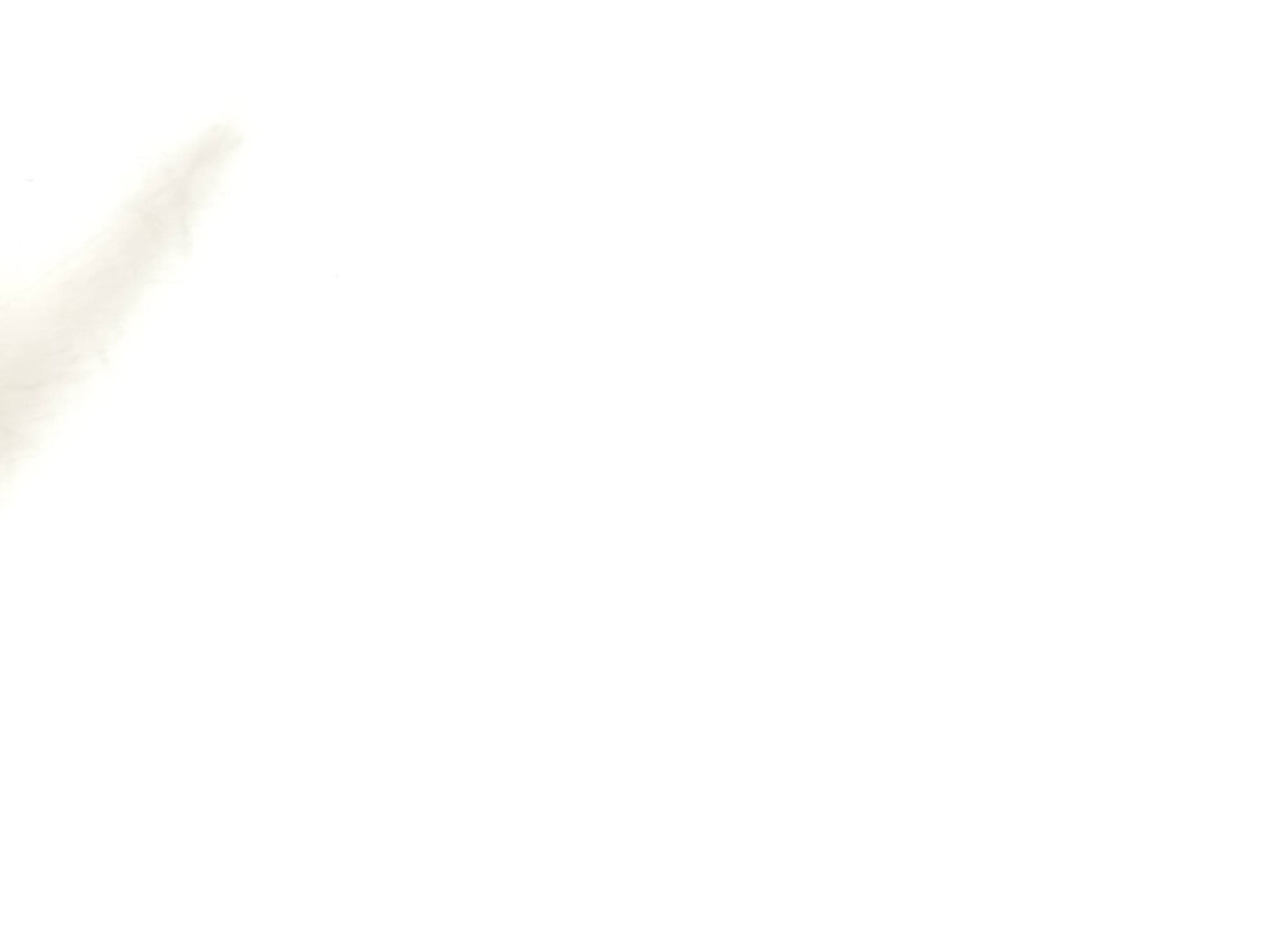 2009 - 2012 Audi Q5 Radiator Mount Bracket 3.2l OEM ✅