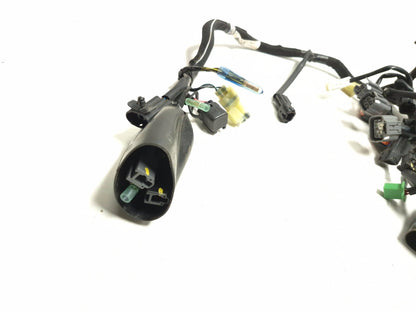 2019 Kawasaki Ninja Ex400 Main Wiring Harness OEM