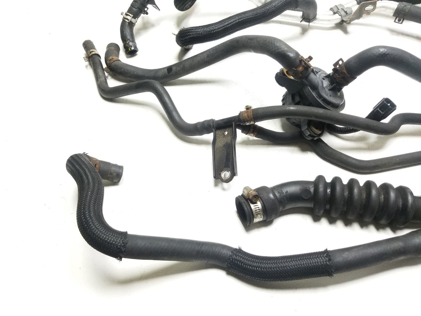 11-17 Lexus CT200h Coolant Hose Pipe Oem✅