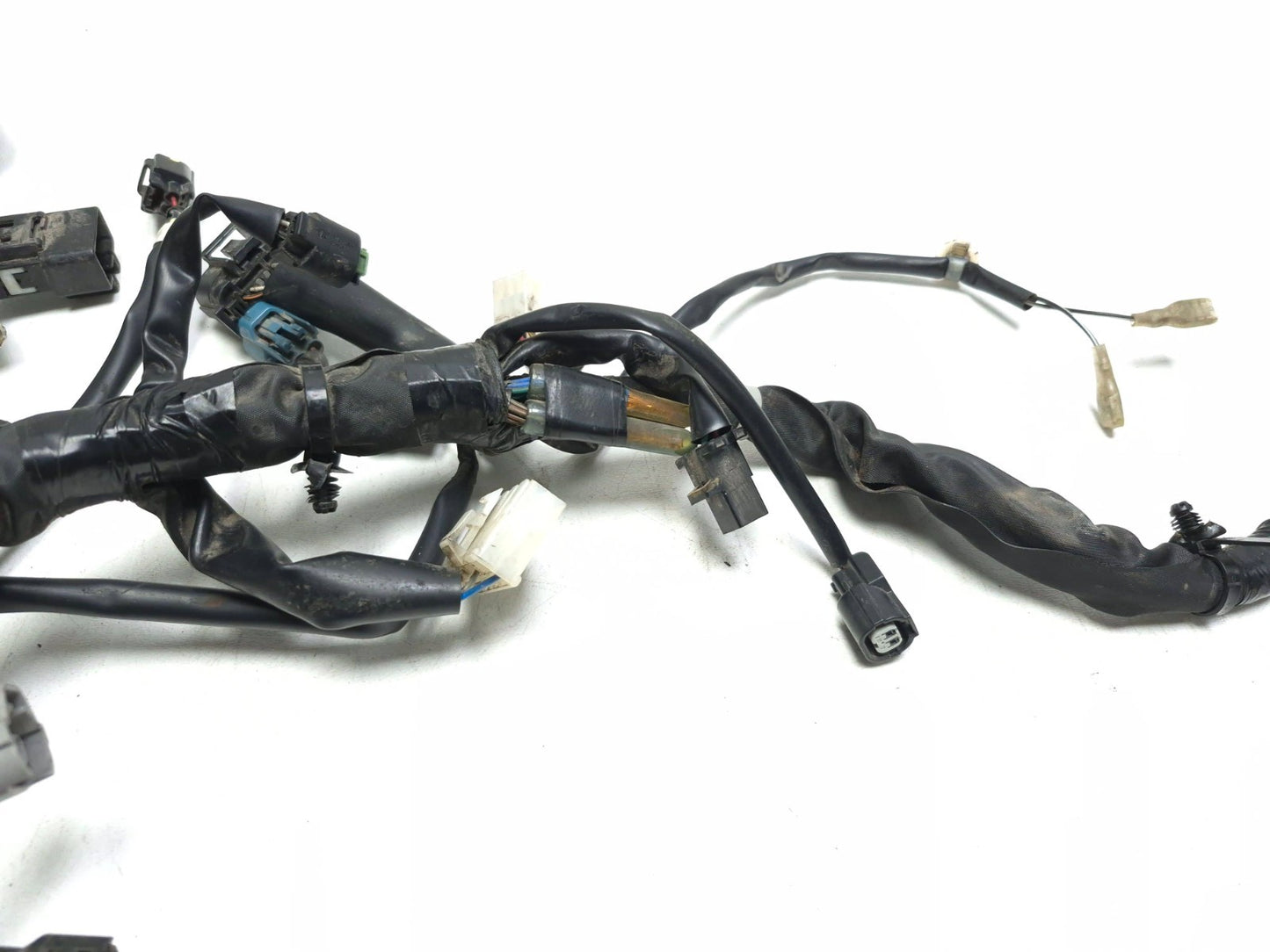 2022-2024 Kawasaki Versys-x 300 Kle300 OEM Main Wire Harness 26031-2642