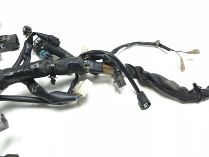 2022-2024 Kawasaki Versys-x 300 Kle300 OEM Main Wire Harness 26031-2642