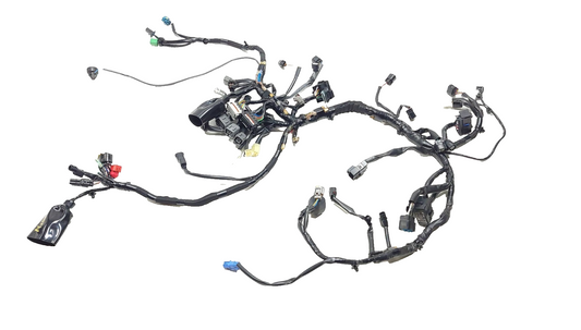 2025 Kawasaki Ninja 500 Ex500a/b Main Wiring Harness OEM