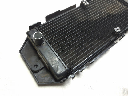 2009 Honda Shadow Spirit Vt750 Engine Cooler Radiator & Grille OEM