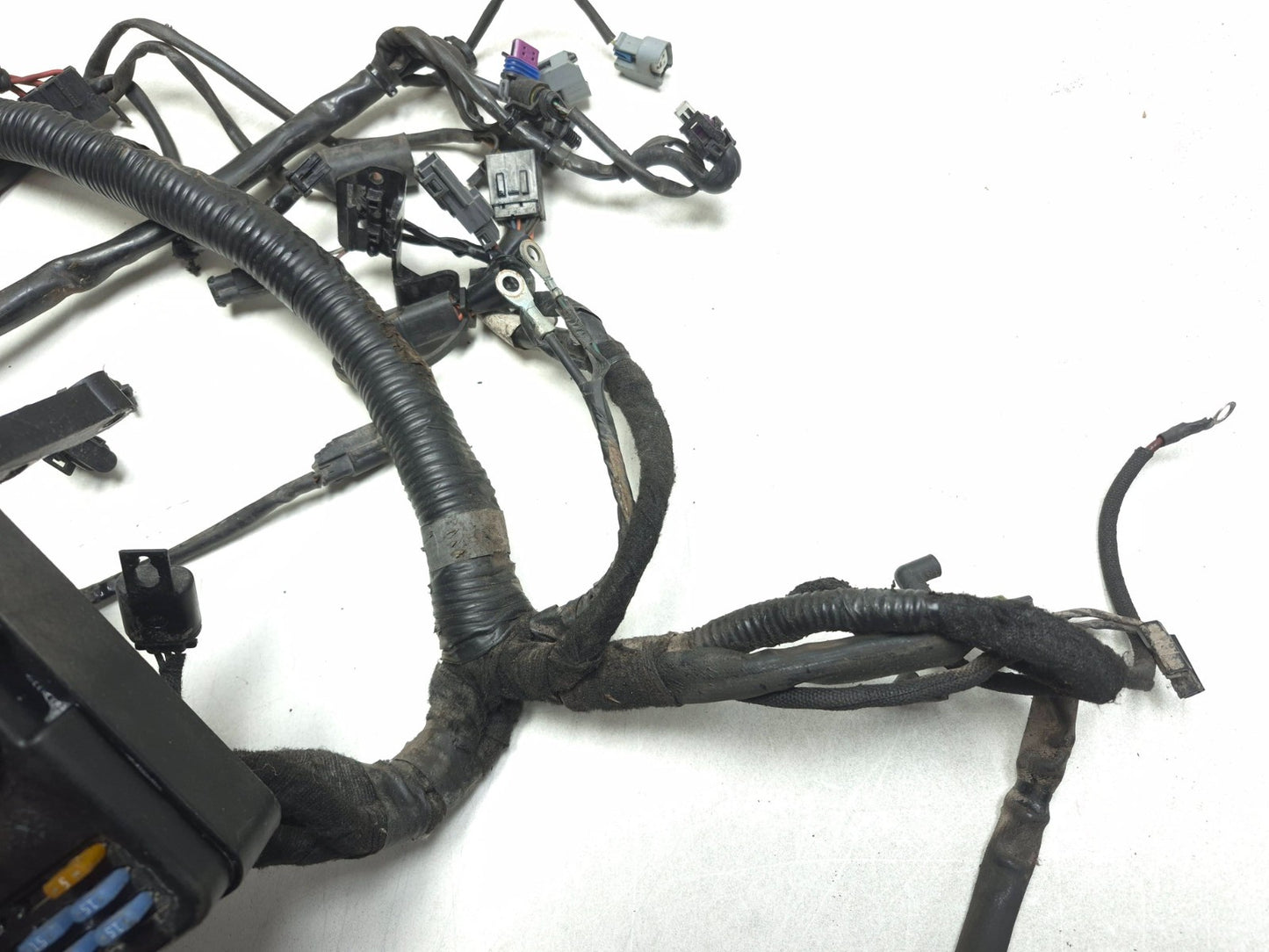 2008 Harley-davidson Dyna Fat Bob Fxdf Main Wiring Wire Harness Loom OEM