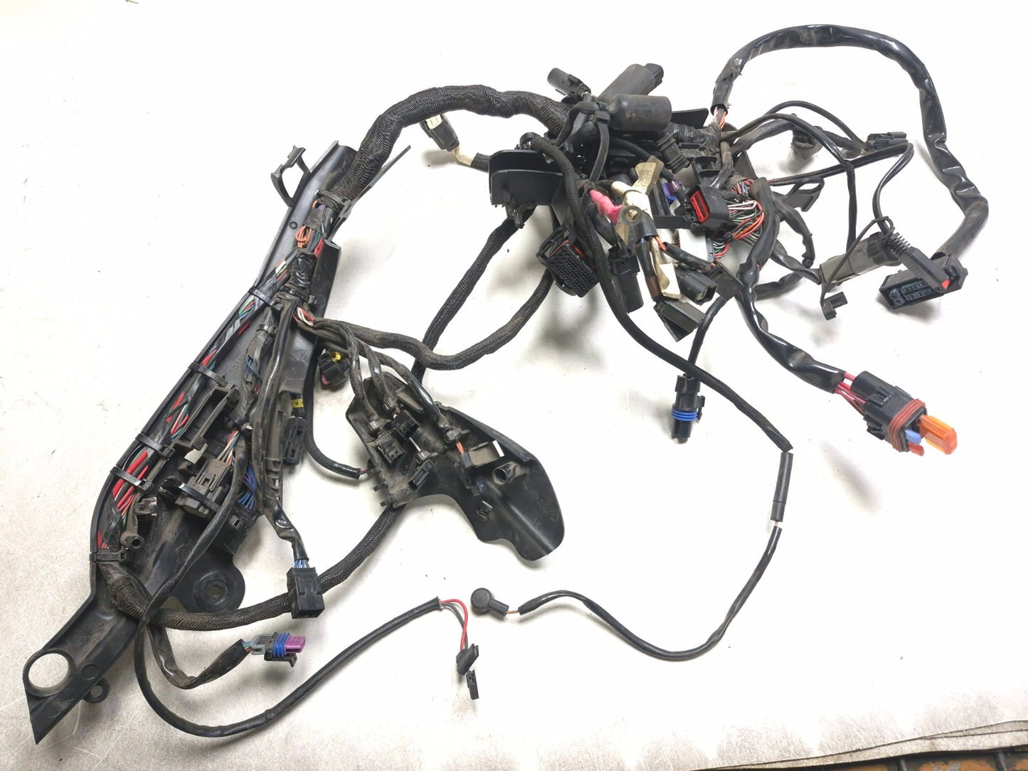 2021 Harley-davidson Sportster Xl1883 ABS Main Wire Wiring Harness OEM