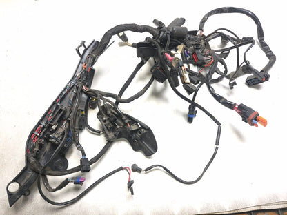 2021 Harley-davidson Sportster Xl1883 ABS Main Wire Wiring Harness OEM