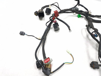 2023 Csc Rx3 Rx4 Adventure Wiring Harness OEM