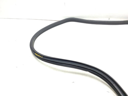 07-13 Bmw X5 E70 Rear Door Wheatherstrip Seal Passenger Side Right OEM