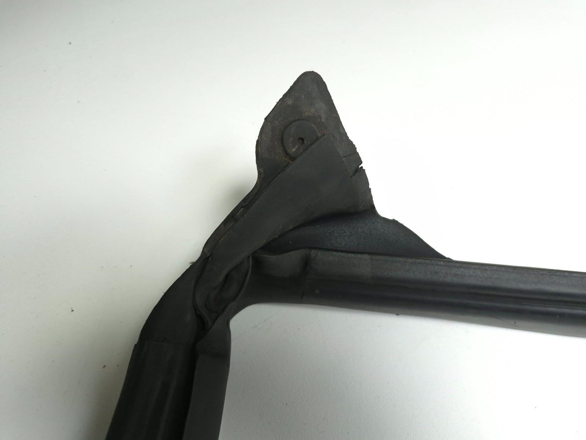 2020 Tesla Model 3 Front Left Driver Door Body Weatherstrip Seal OEM