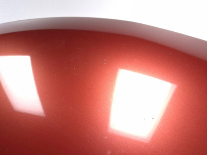 2011 Nissan Juke Hood OEM