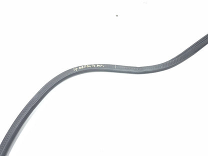 2017 Chevrolet Malibu Front Passenger Door Weatherstrip Seal OEM