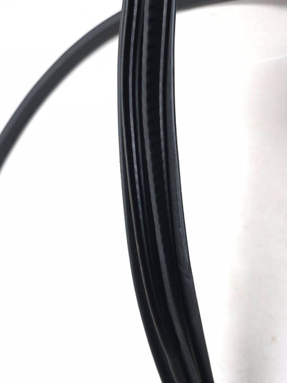 2019 Ford Ecosport Door Weatherstrip Rear Passenger Side Right OEM