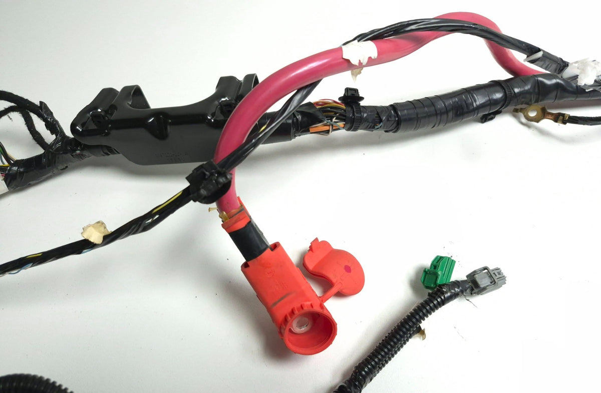2018 Tesla Model 3 Main Body Wire Wiring Harness Passenger Side 1067955-00-e OEM