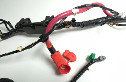 2018 Tesla Model 3 Main Body Wire Wiring Harness Passenger Side 1067955-00-e OEM