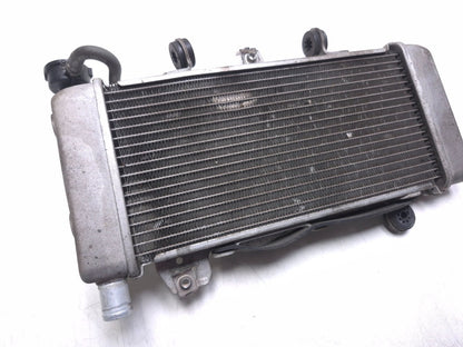 2020 Honda Cb300r Cbf300na Radiator OEM