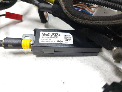 09-14 Hyundai Genesis Interior Wire Harness 4.6l OEM Sedan