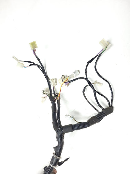 2017 Piaggio Fly Main Wiring Harness OEM
