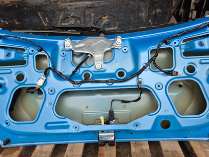 2019 Hyundai Kona  Trunk Tailgate Hatch OEM