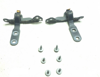 2008 BMW X6 E71 Tailgate Trunk Hinge Left & Right OEM