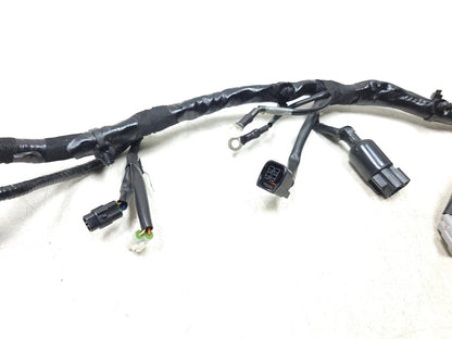 2024 Royal Enfield Bullet 350 Main Wire Harness  OEM