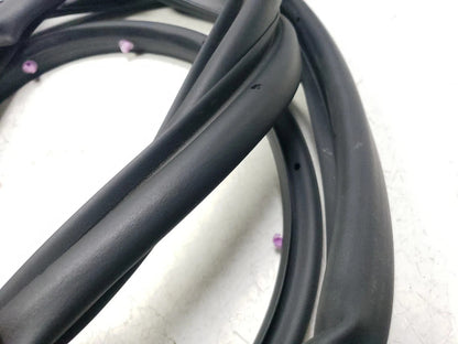 2022 Chevrolet Trailblazer Front Door Weatherstrip Seal Driver Side Lh 2pcs OEM