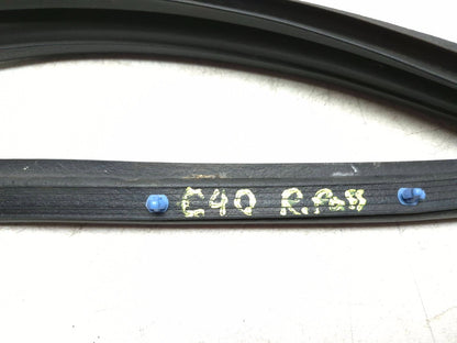 2010 Dodge Caliber Sxt Door Weatherstrip Seal Rear Right Passenger Side OEM