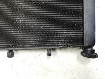 2014 - 2018 Honda Cbr650f Radiator Coolant  OEM