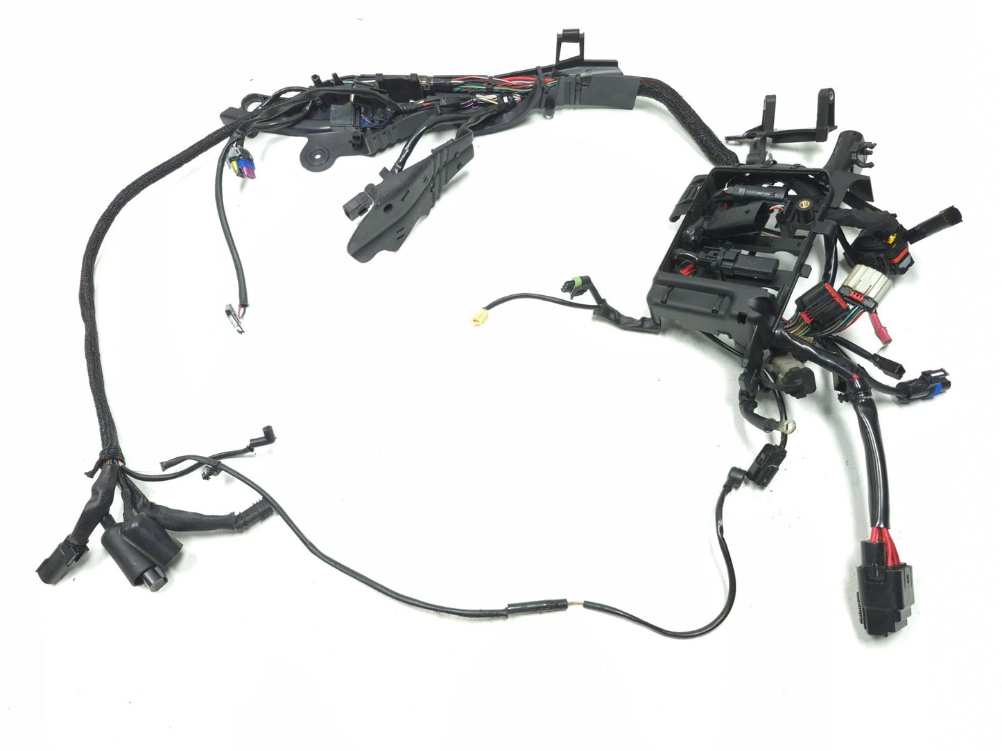 2014 - 2022 Harley Sportster 883 1200 Main Wire Harness *non Abs*