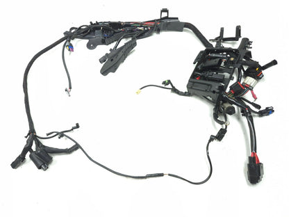 2014 - 2022 Harley Sportster 883 1200 Main Wire Harness *non Abs*