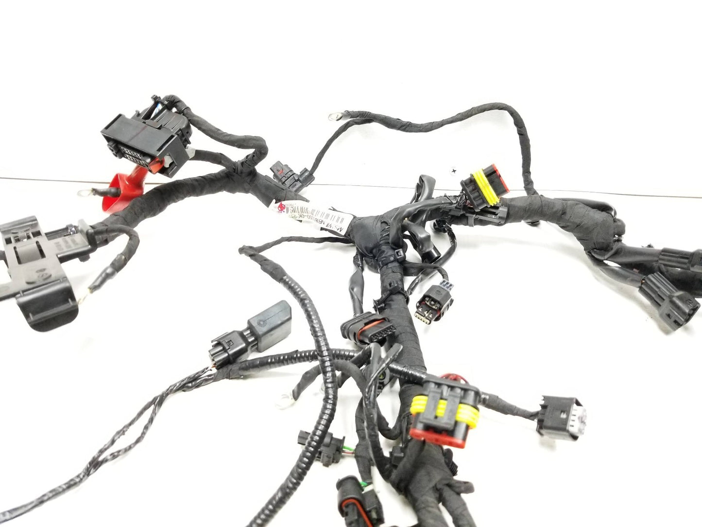 2023 BMW G310r Main Wire Wiring Harness  OEM