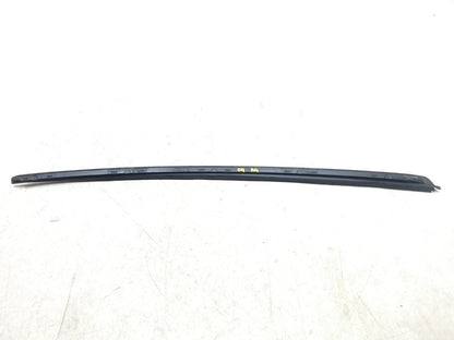 2009 - 2012 Audi A4 Windshield Belt Seal Trim Left & Right OEM