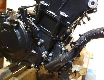 2025 Kawasaki Ninja 500 Ex500 Engine Motor **96 Miles** ✅