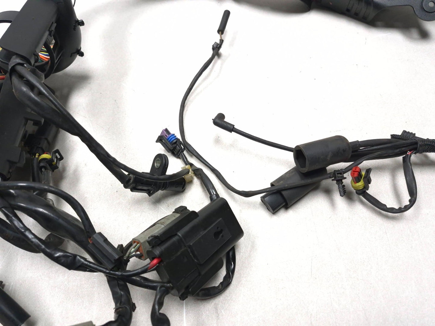 2009 Harley-davidson Sportster Xl883l Main Wiring Harness OEM