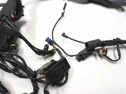 2009 Harley-davidson Sportster Xl883l Main Wiring Harness OEM
