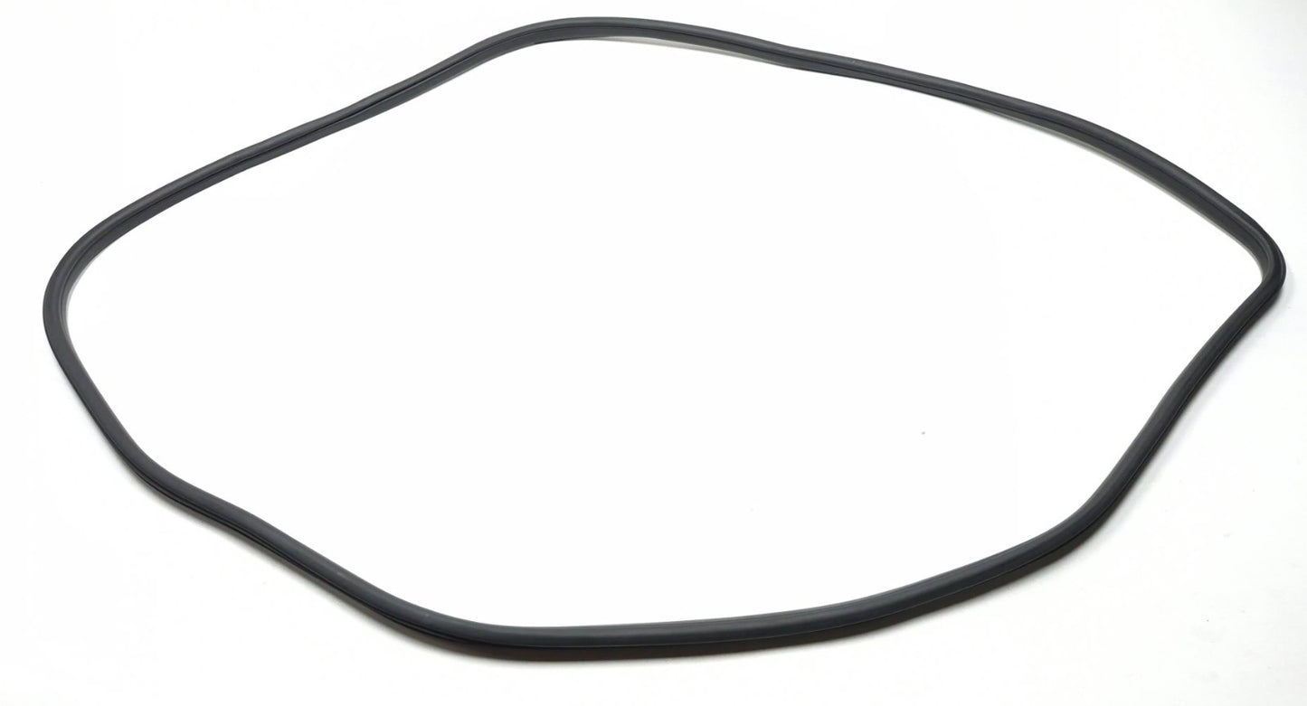 2011 Nissan Juke Front Door Window Belt & Weatherstrip Seal Passenger Rh OEM