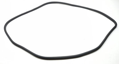 2011 Nissan Juke Front Door Window Belt & Weatherstrip Seal Passenger Rh OEM
