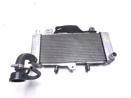 2020 Honda Cb300r Cbf300na Radiator OEM