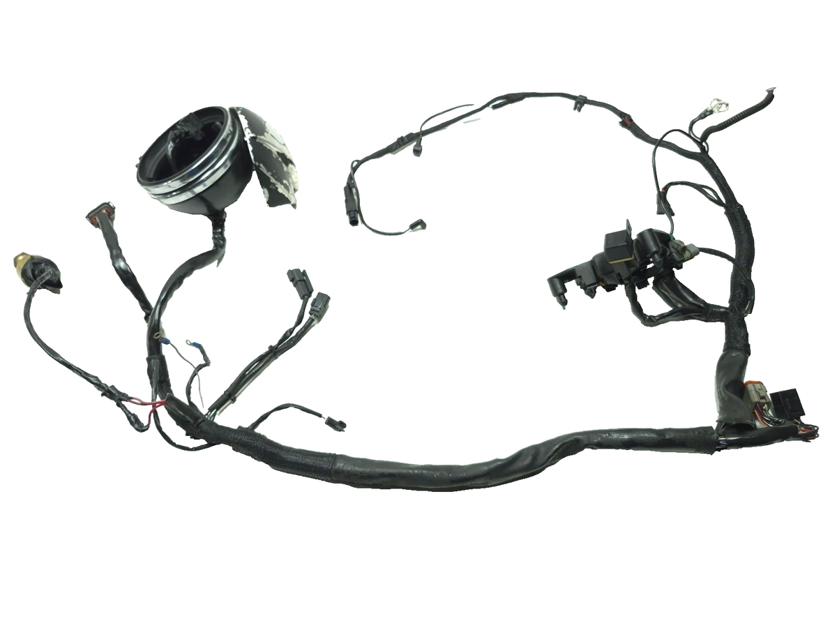 1999 - 2003 Harley Sportster Xl1200 Xl883 Main Wire Harness