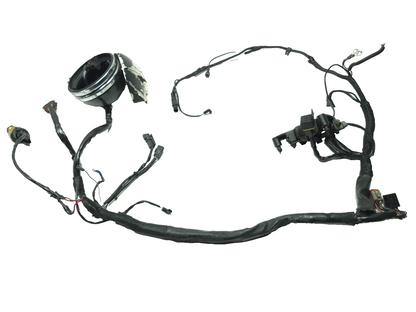 1999 - 2003 Harley Sportster Xl1200 Xl883 Main Wire Harness