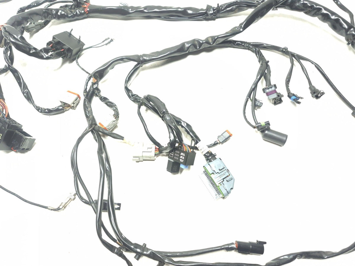 2004 Harley Touring Electra Glide Main Wire Harness W/ Engine Harness OEM