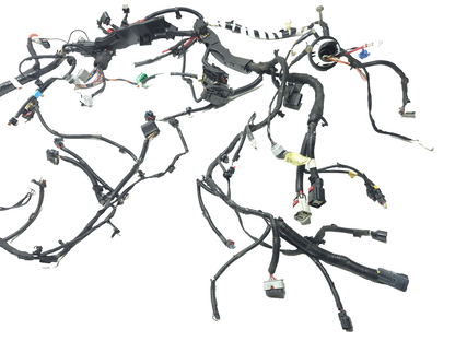 2020 Tesla Model 3 AWD Front Main Body Under Hood Wire Harness OEM